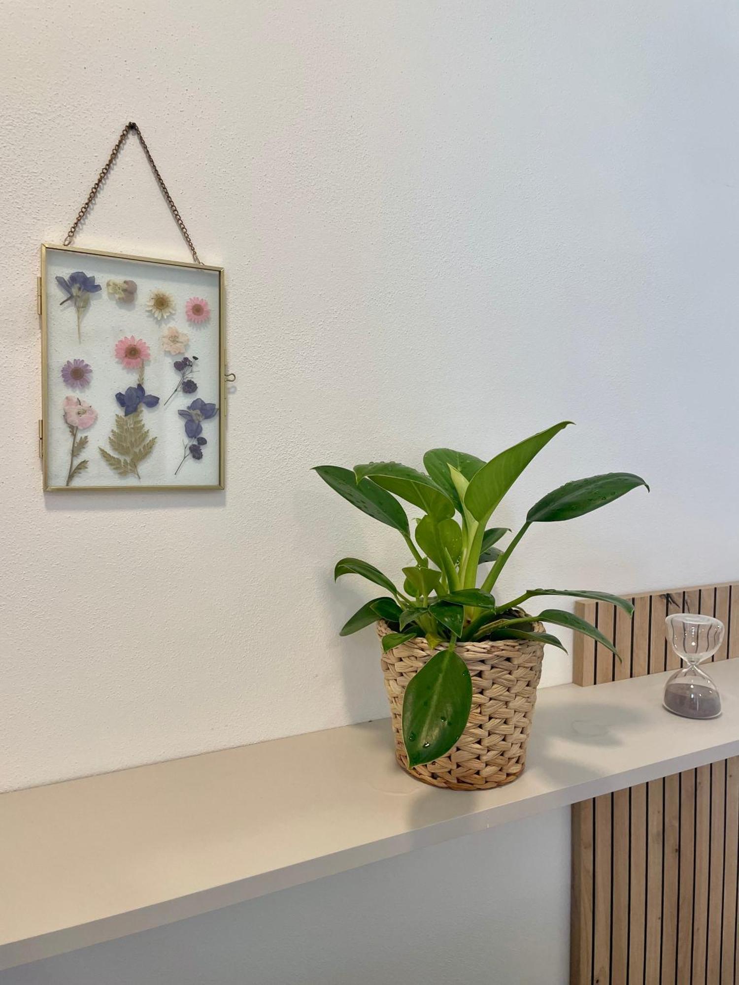 Apartment Designovy S Vyhledem Na Reku *